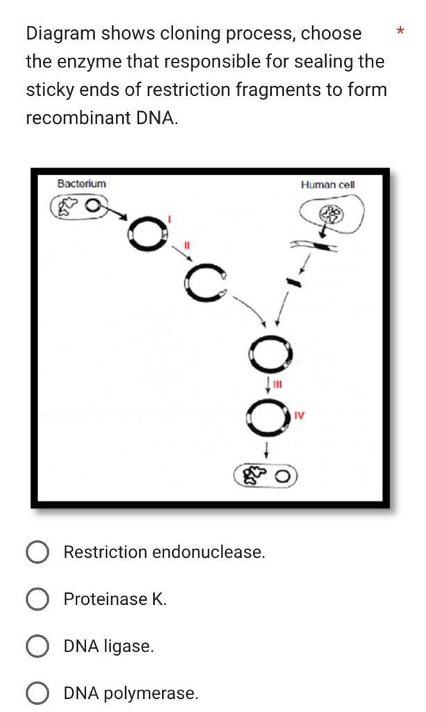 Solved Diagram shows cloning process, choose the enzyme that | Chegg.com