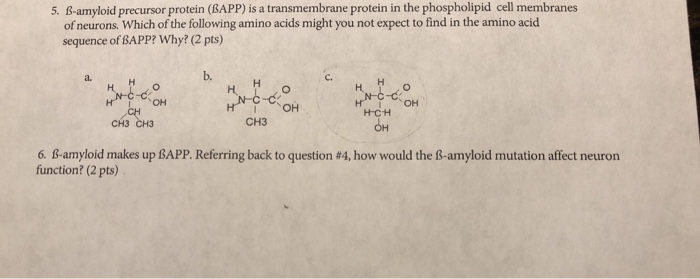 Solved 5. B-amyloid precursor protein (BAPP) is a | Chegg.com
