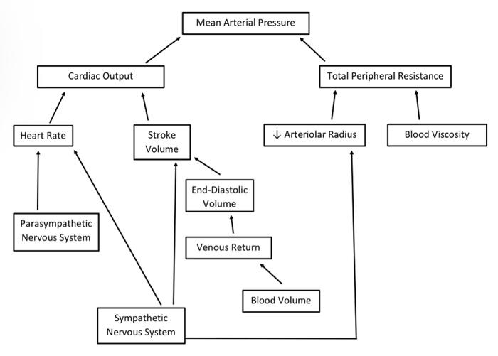 Solved Indicate on the diagram showing the control of mean