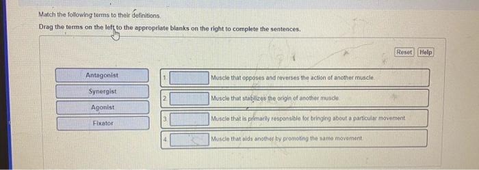 Solved Match the following terms to their definitions Drag | Chegg.com