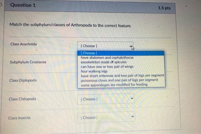 Solved Question 1 1.5 pts Match the subphylum/classes of | Chegg.com