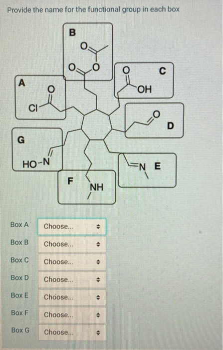 Solved Provide The Name For The Functional Group In Each Chegg Com