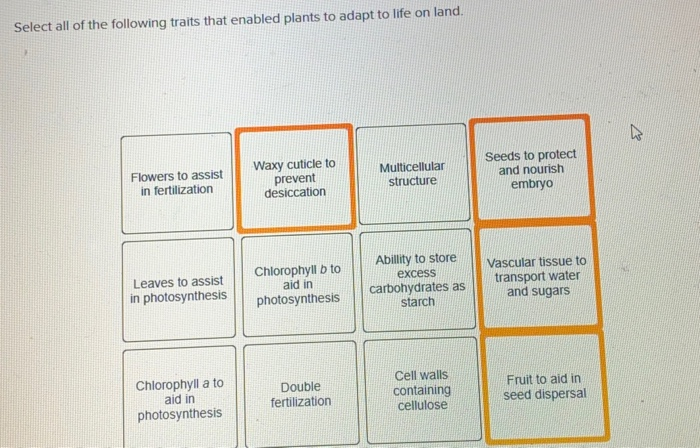 solved-select-all-of-the-following-traits-that-enabled-chegg