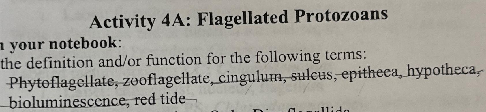Solved Activity 4A: Flagellated Protozoansyour notebook:the | Chegg.com
