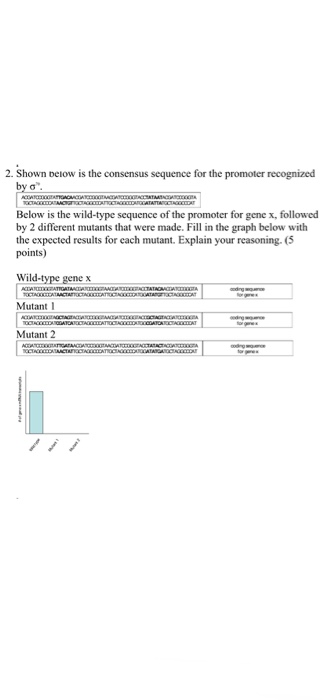 Solved Shown below is the consensus sequence for the | Chegg.com