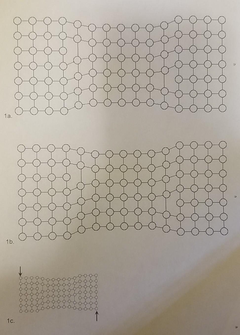 Solved This is a Biomaterials question. The lattice