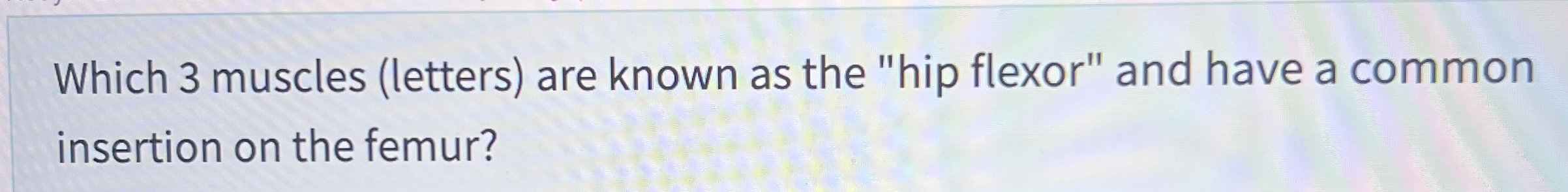 Which 3 ﻿muscles (letters) ﻿are known as the 
