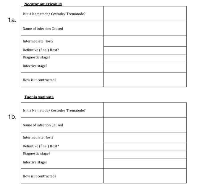 Solved Necator americanus Is it a Nematode / | Chegg.com