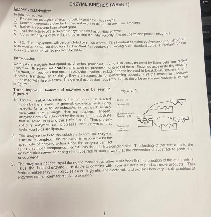 Solved F12 ENZYME KINETICS (WEEK 1) Laboratory Objectives In | Chegg.com