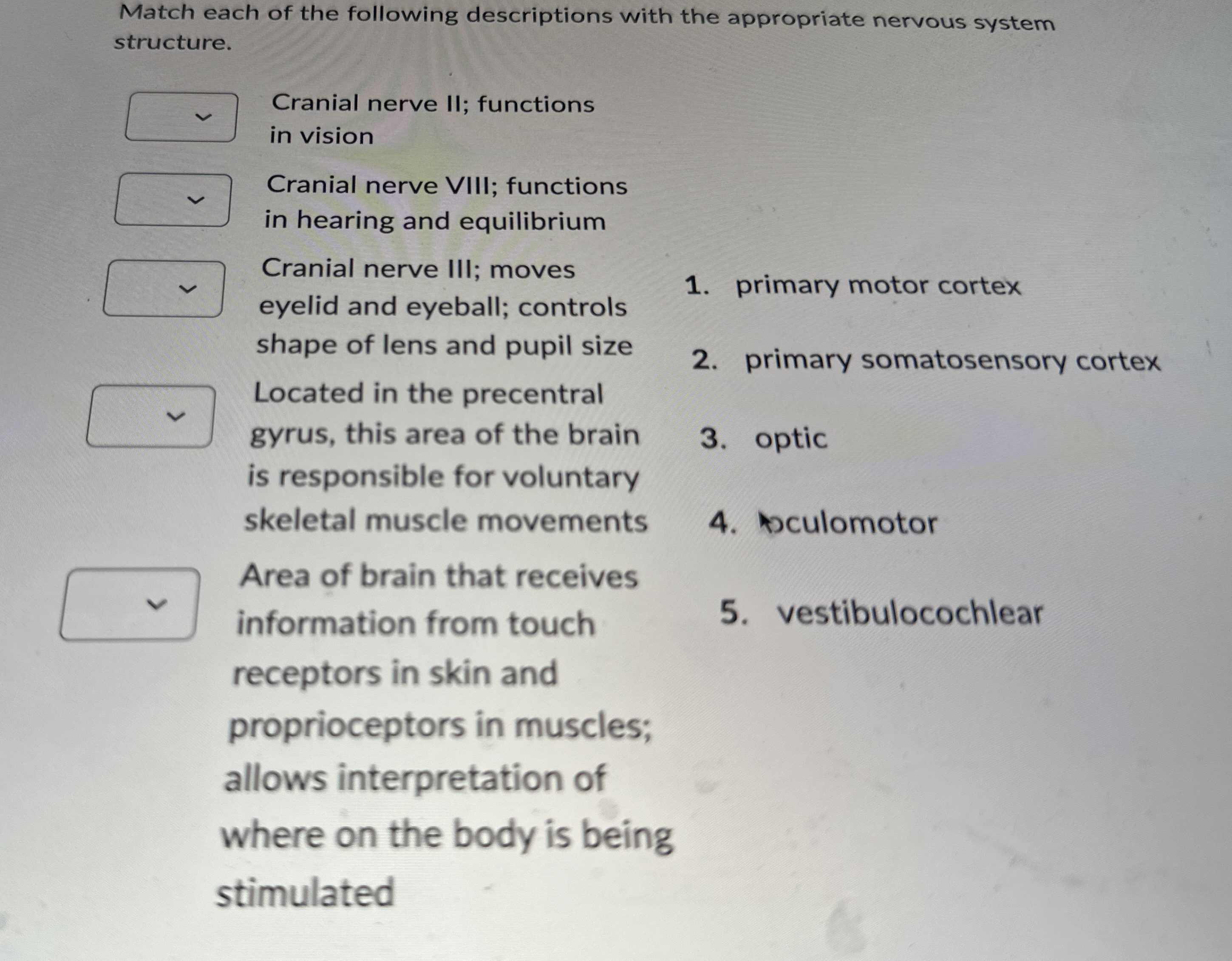 Solved Match Each Of The Following Descriptions With The Chegg Com