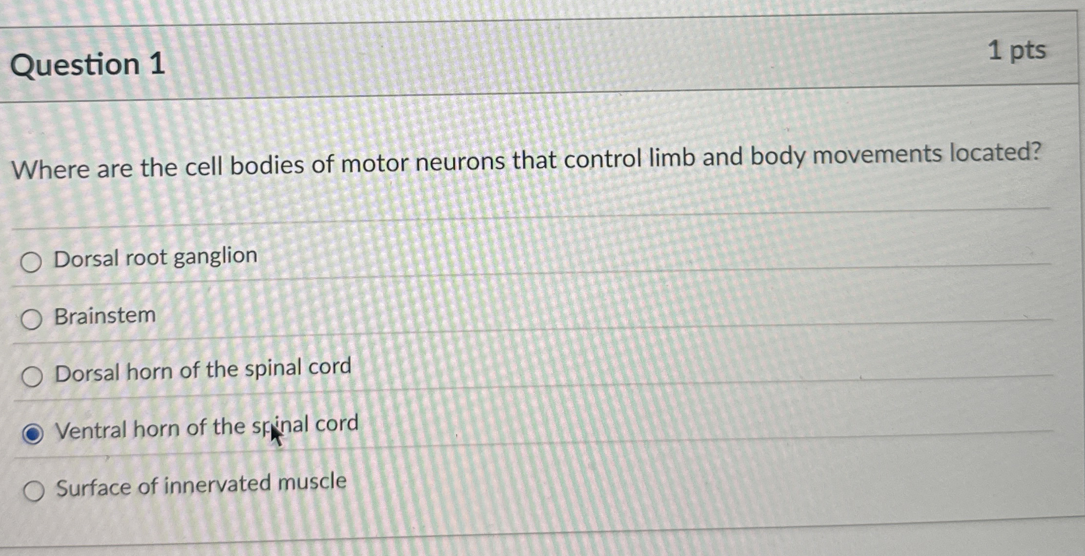Solved Question 11 ﻿ptsWhere are the cell bodies of motor | Chegg.com