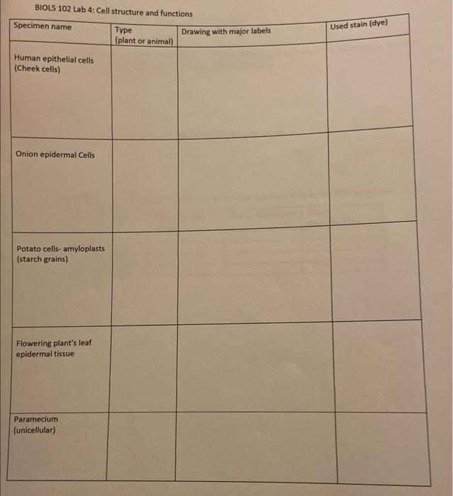 Solved A Student Was Testing The Activity Of Enzyme 