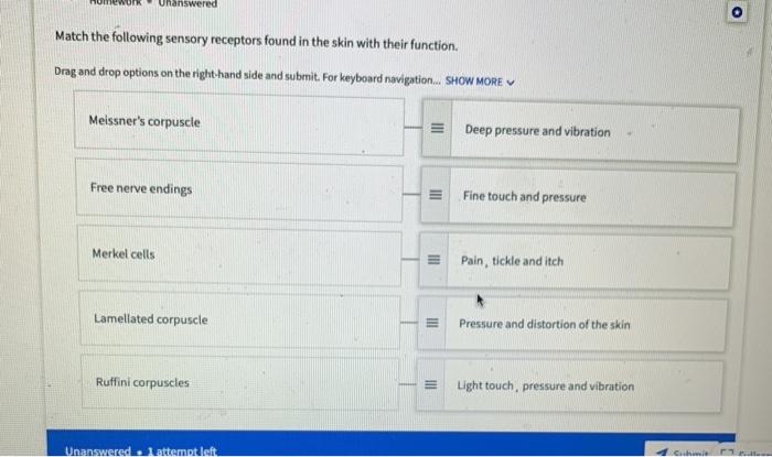 Solved Unanswered o Match the following sensory receptors | Chegg.com