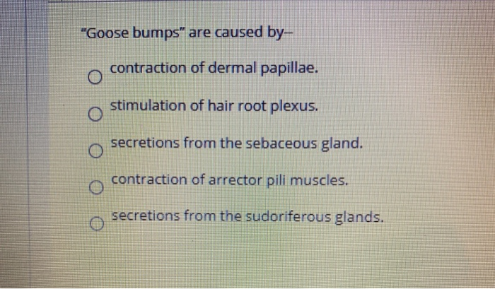 "Goose bumps” are caused by contraction of dermal