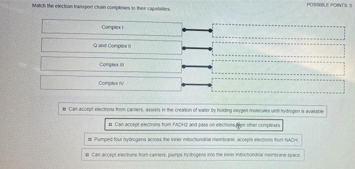 Solved Match the electron transport chain complexes to their | Chegg.com