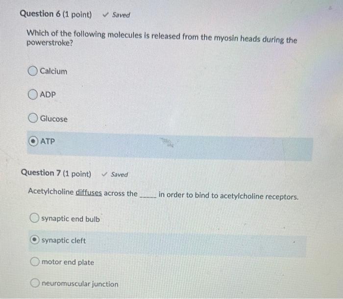 Solved Which of the following structural proteins helps to | Chegg.com