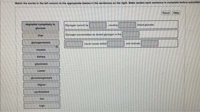 Solved Match the words in the left column to the appropriate | Chegg.com