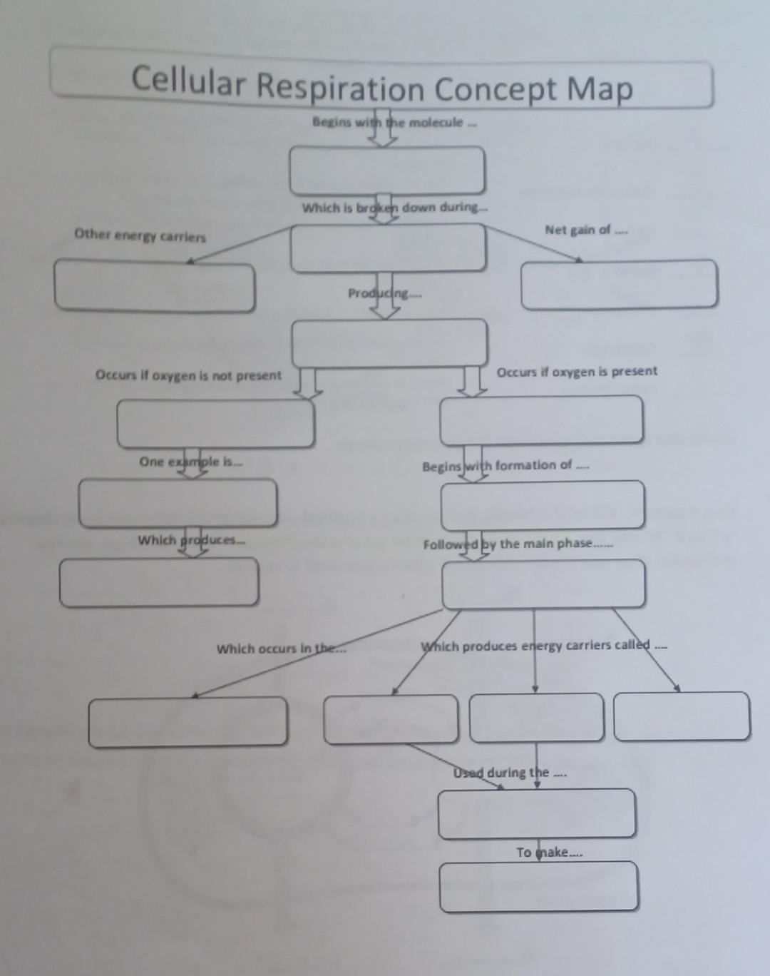 Solved Cellular Respiration Concept Map Begins with the | Chegg.com