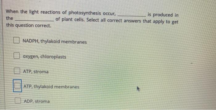 Which Coenzyme Is Involved in the Light Reactions-Photosynthesis Simplified