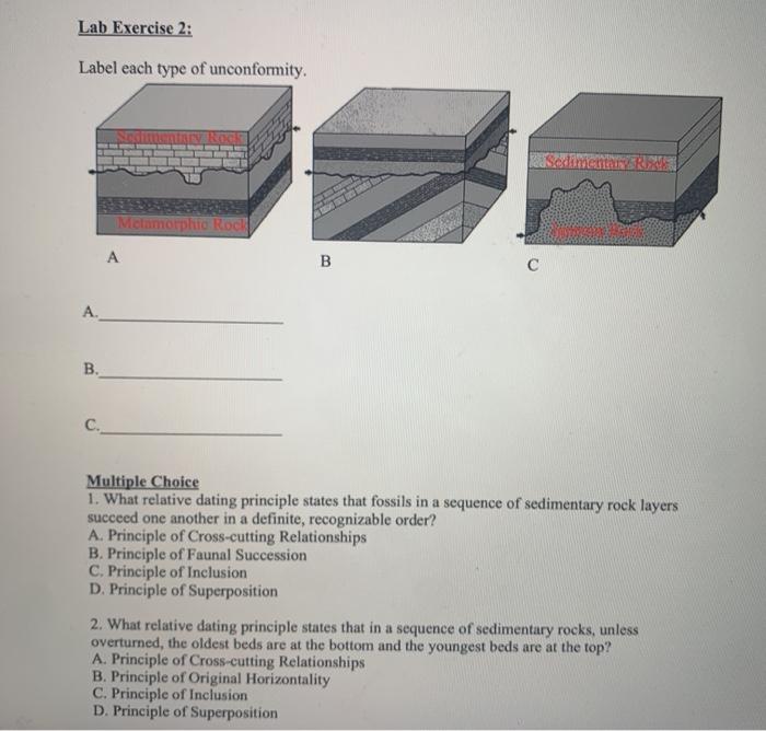 principle of faunal succession