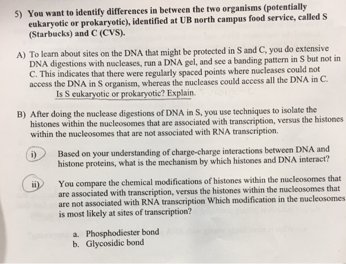 Solved 5) You want to identify differences in between the | Chegg.com