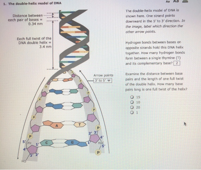 Solved Aa Aa 1. The double-helix model of DNA Distance | Chegg.com