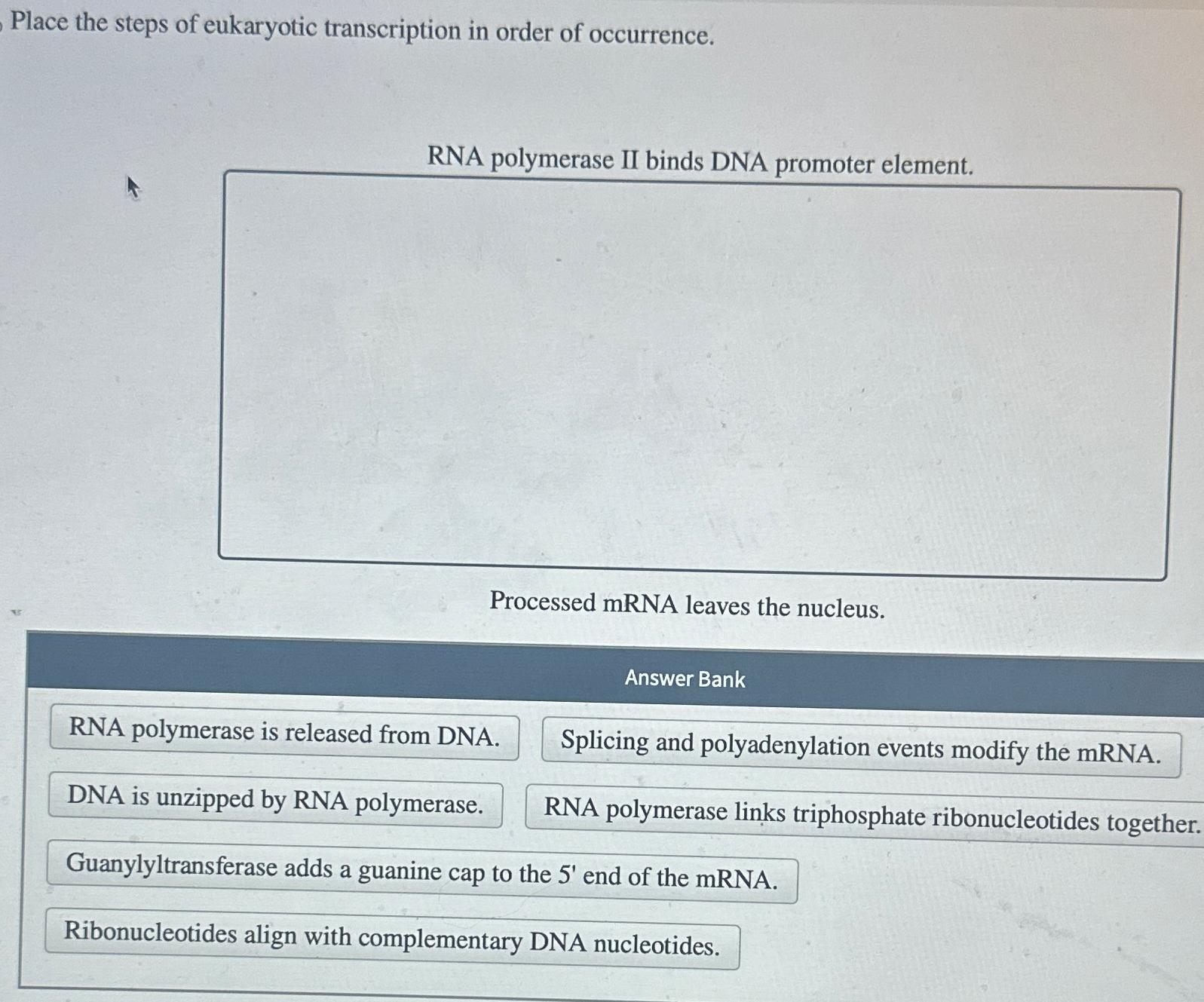 Solved Place the steps of eukaryotic transcription in order | Chegg.com