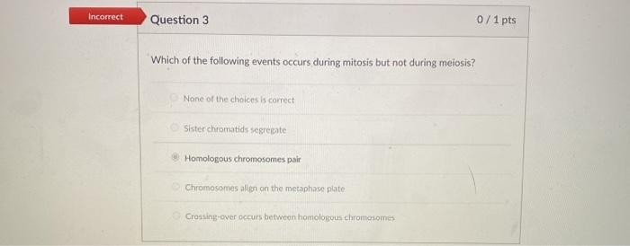 Solved Incorrect Question 3 0/1 pts Which of the following | Chegg.com