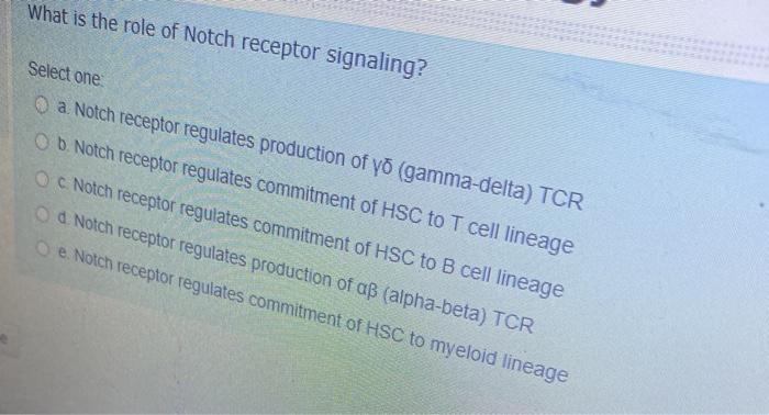 What is the role of Notch receptor signaling? Select one O a Notch receptor regulates production of yo (gamma-delta) TCR O No