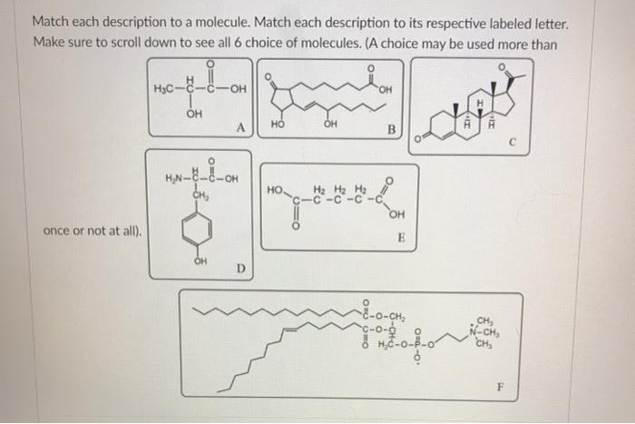 Solved Match Each Description To A Molecule. Match Each | Chegg.com