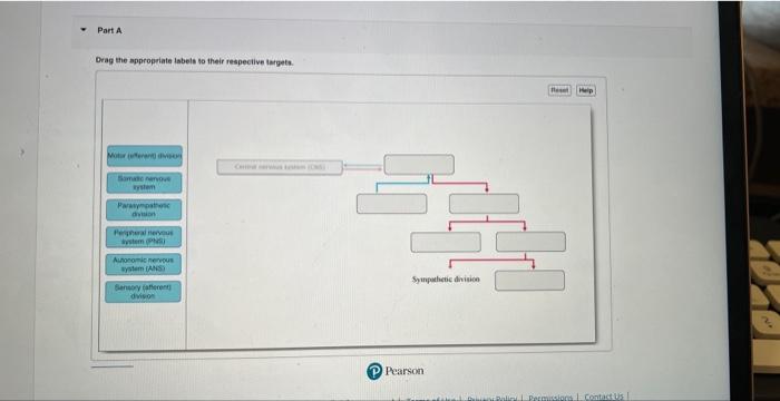 Solved - Part A Drag The Appropriate Labels To Their | Chegg.com