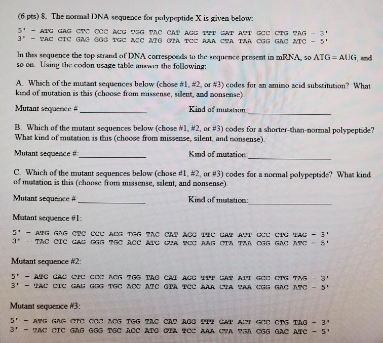 Solved 3 6 Pts 8 The Normal Dna Sequence For Polypepti Chegg Com
