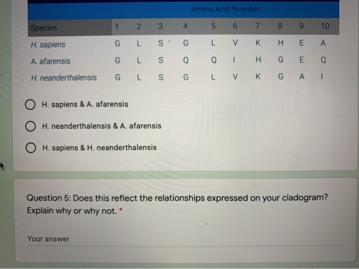 Solved Question 4: Proteins are made up of amino acids.The | Chegg.com