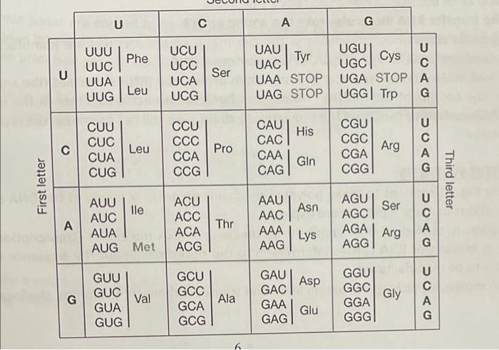 Solved Activity 2. PROTEIN SYNTHESIS. A. Put the following | Chegg.com