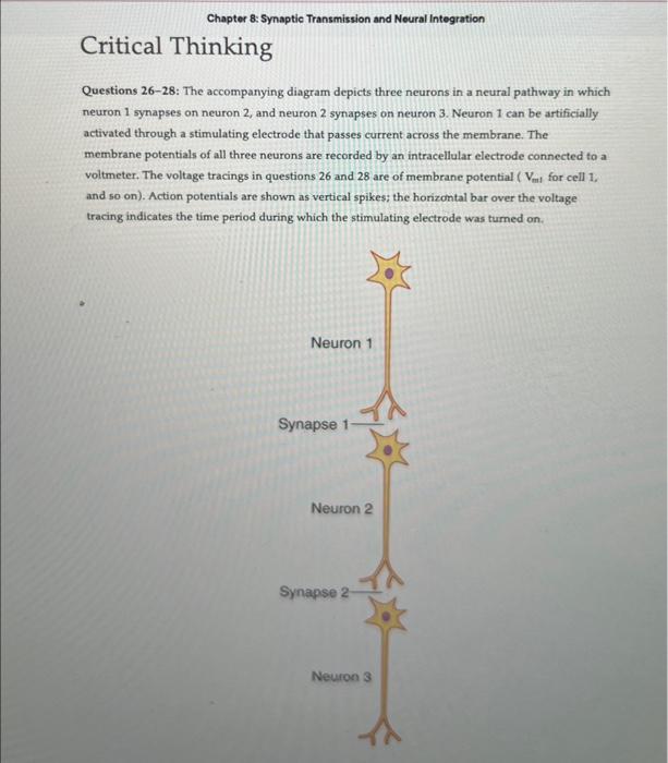 critical thinking questions about neuron