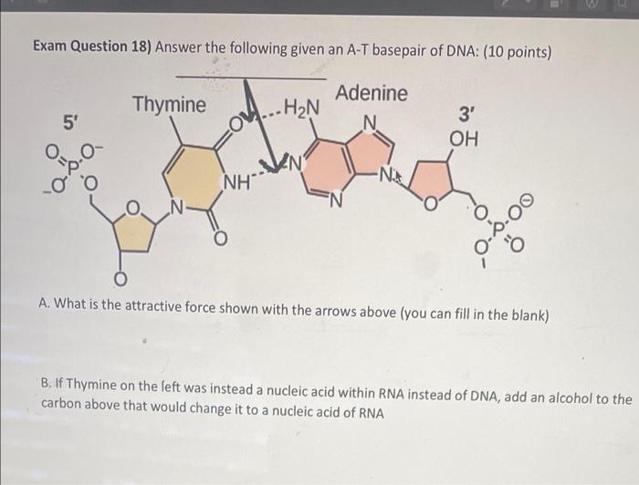 Solved Exam Question 18) Answer the following given an AT