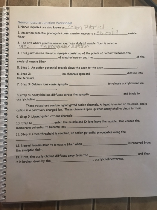 Solved Neuromuscular Junction Worksheet 1. Nerve impulses | Chegg.com