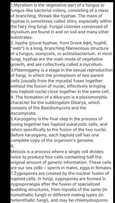 TERMINOLOGY TO KNOW 1) Mycelium 2) Hyphae 3) Plasm ...