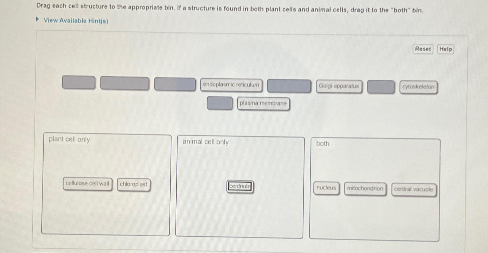 Solved Drag each cell structure to the appropriate bin. If a | Chegg.com