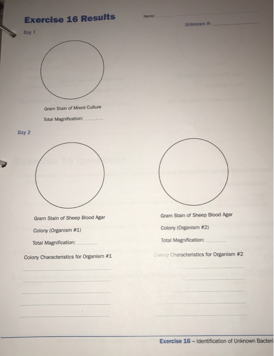 EXERCISE 16 Identification of Unknown Bacteria | Chegg.com