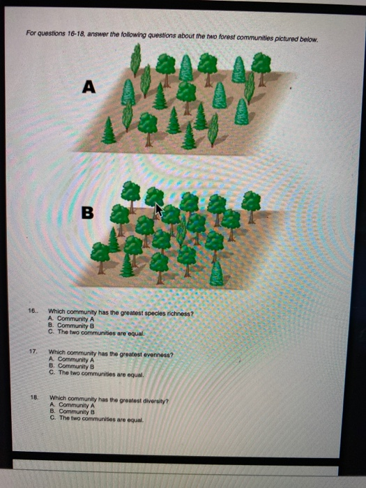 Solved For questions 16-18, answer the following questions | Chegg.com