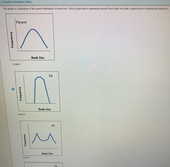 Solved Question Completion Status This graph is a histogram | Chegg.com