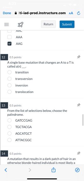 Solved 120.5 points A single base mutation that changes an A | Chegg.com
