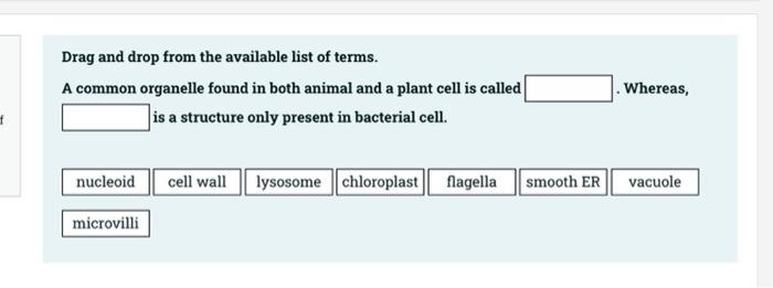 Solved Drag and drop from the available list of terms. A | Chegg.com
