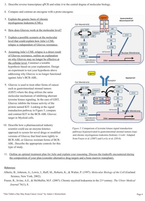 BIOL 441SL/541SL - CANCER EDUCATION: Making the Journey Less