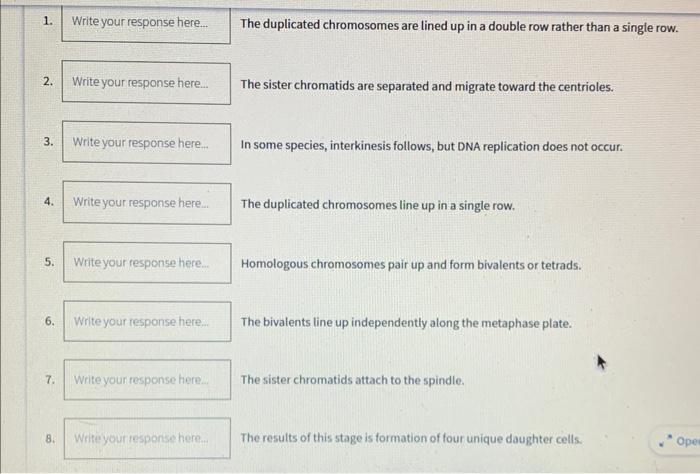Solved Match each event with its associated stage of meiosis | Chegg.com