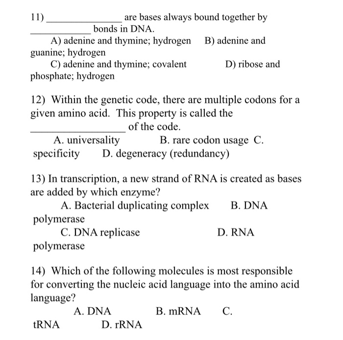 Solved 11). are bases always bound together by bonds in DNA. | Chegg.com