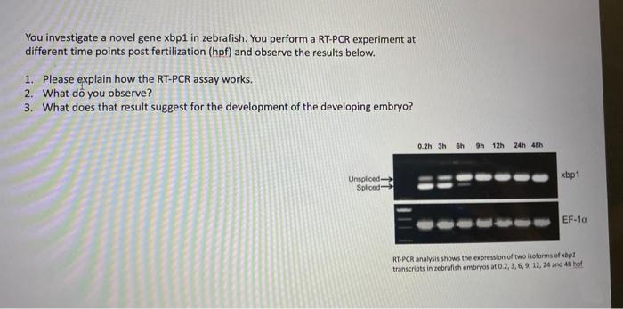 why are oven and pedro step ups ? : r/OPBR