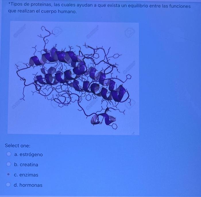 -Tipos de proteinas, las cuales ayudan a que exista un equilibrio entre las funciones que realizan el cuerpo humano. Select