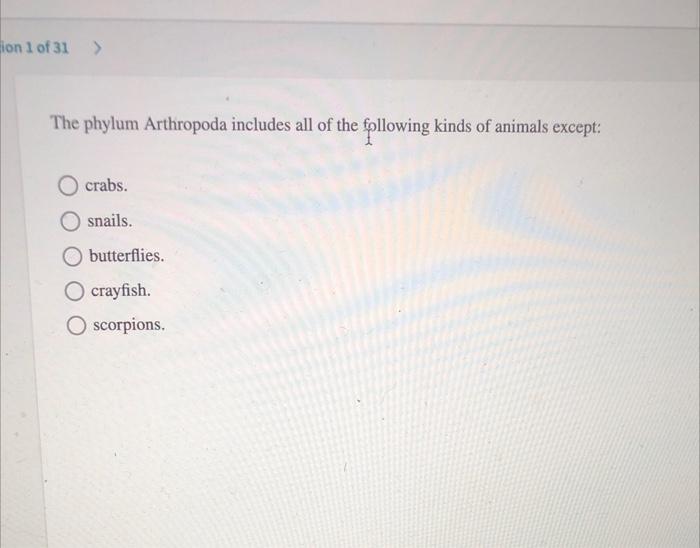 Solved ion 1 of 31 > The phylum Arthropoda includes all of | Chegg.com